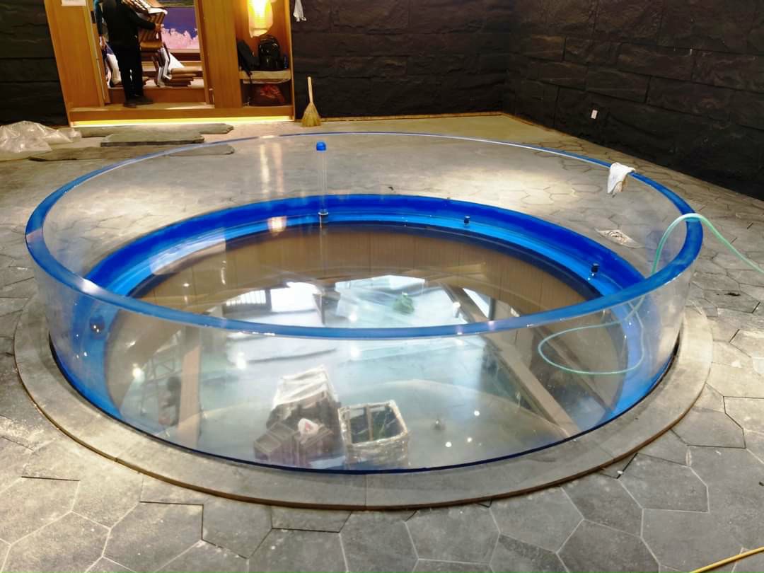 Ứng dụng làm bể bơi kính acrylic trong nhà